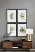 Botanical Flower Wall Art, Home Decor For Living Room Dining Room, Bedroom, Hallway (Set of 4) - White / Blue