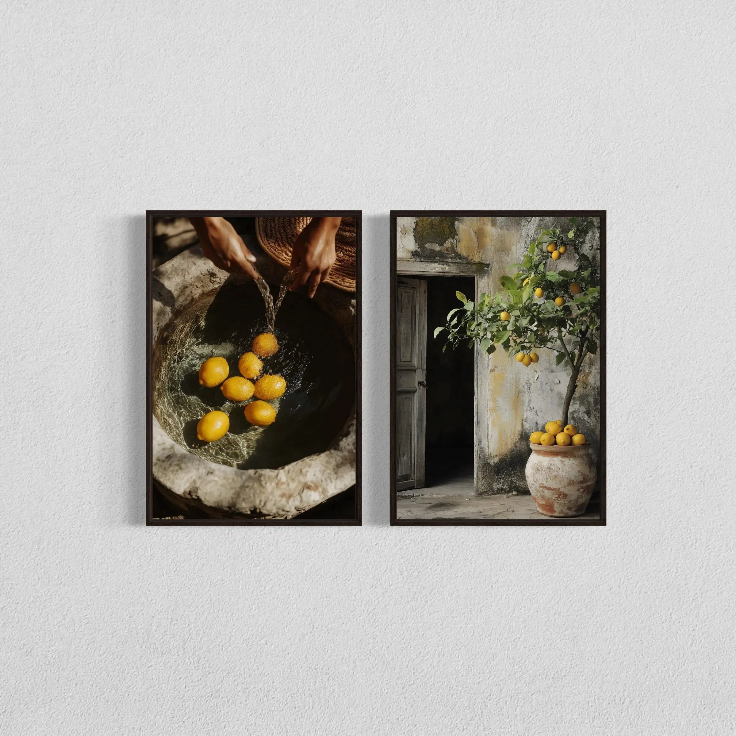 Mediterranean Olive Tree Canvas Art Print Botanical Antique Wall Art Poster for Modern Living Room Bedroom Kitchen Home Decor