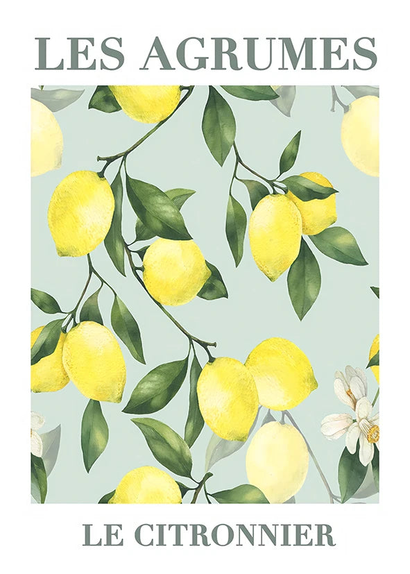 Retro Lemon Garden Canvas Poster Fresh Lemon Olive Tree Wall Art Prints for Modern Living Room Office & Summer Home Decor Gifts