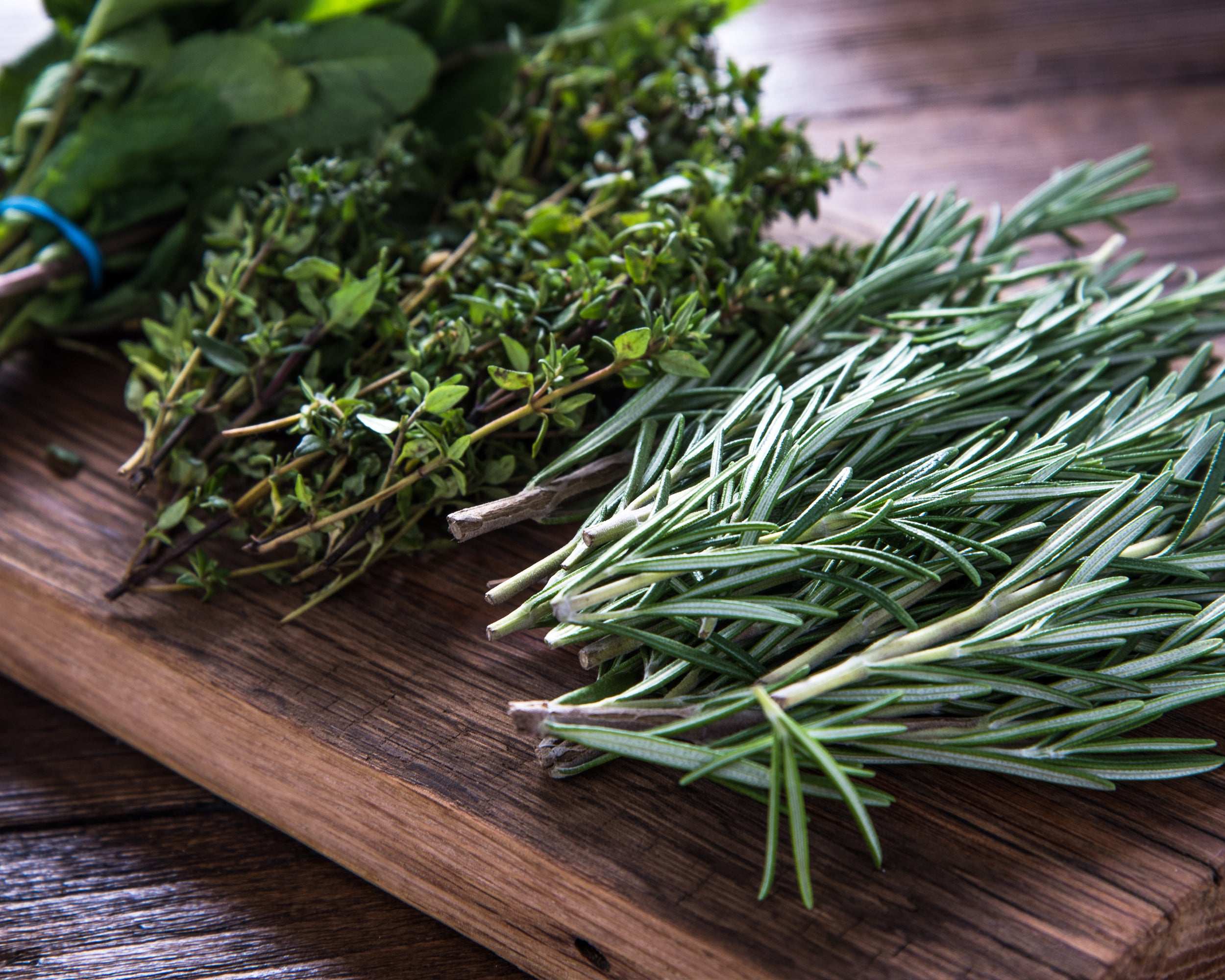 Garden Herb Plants Collection Rosemary Sage Oregano Thyme Quart Pots